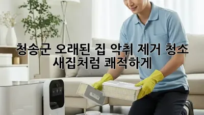 청송군 오래된 집 악취 제거 청소: 새집처럼 쾌적하게!